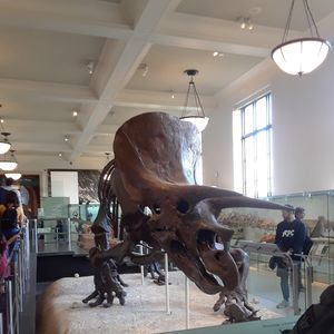 Meet your Posher, Juan